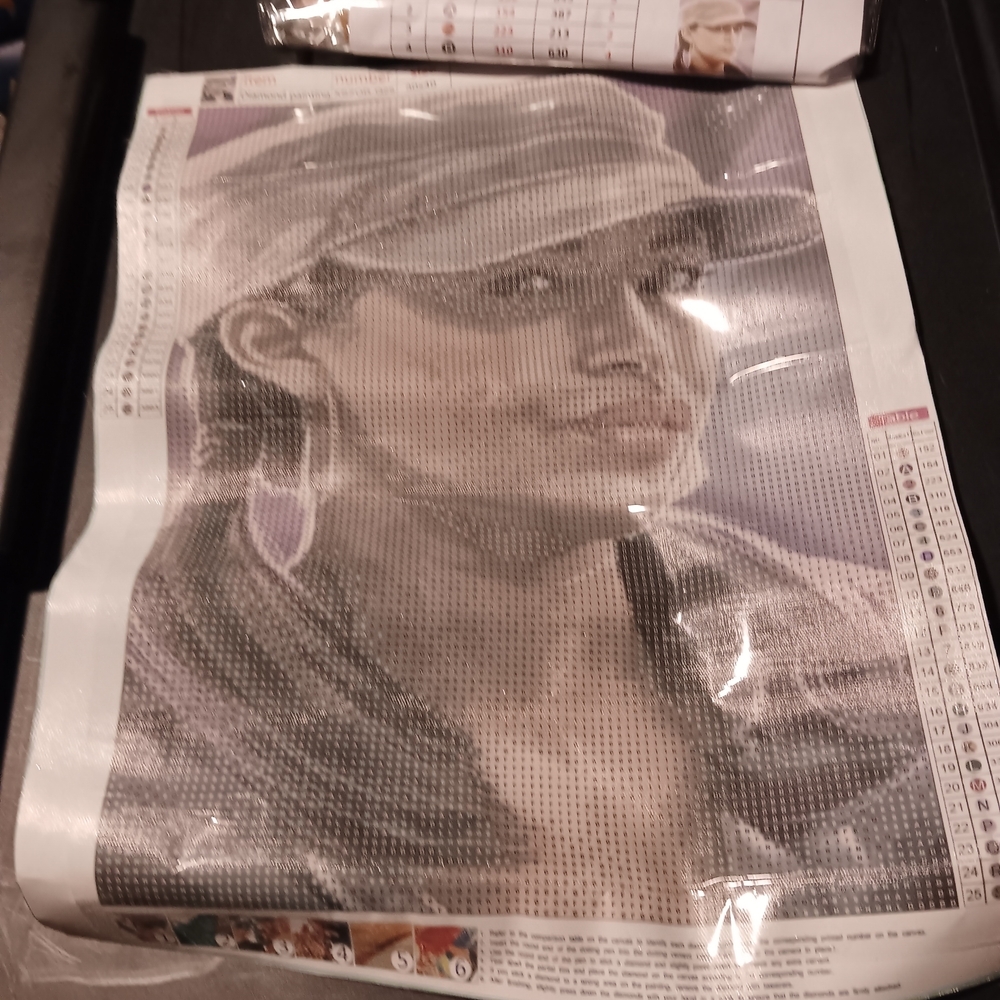 The Walking Dead Diamond Painting Kit with Rosita Character Portrait 30x40cm